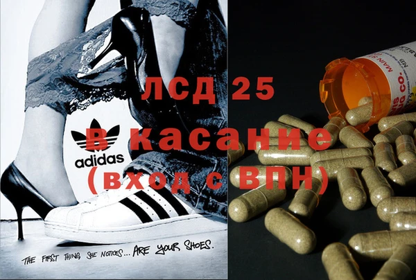 индика Армянск