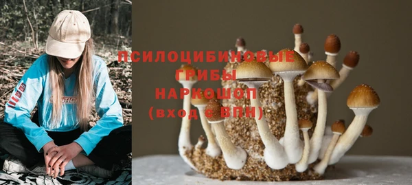 индика Армянск