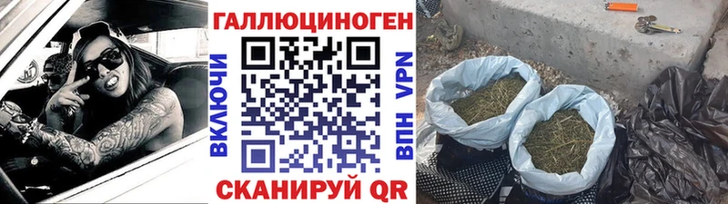 как найти   мориарти какой сайт  Псилоцибиновые грибы Magic Shrooms  Гремячинск 